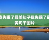 我失眠了最美句子我失眠了最美句子图片