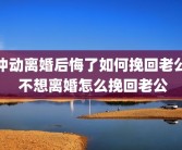 冲动离婚后悔了如何挽回老公 不想离婚怎么挽回老公