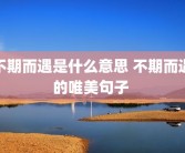 不期而遇是什么意思 不期而遇的唯美句子 