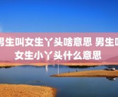 男生叫女生丫头啥意思 男生叫女生小丫头什么意思 