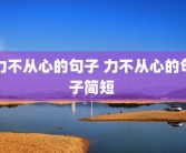 力不从心的句子 力不从心的句子简短 