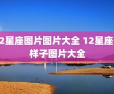 12星座图片图片大全 12星座的样子图片大全