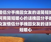 情侣分手挽回女友的话简短如何用简短暖心的话挽回分手的女友情侣分手挽回女友的话简短暖心