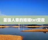 差强人意的婚姻txt荧夜
