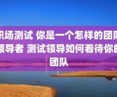 职场测试 你是一个怎样的团队领导者 测试领导如何看待你的团队