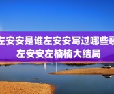 左安安是谁左安安写过哪些歌 左安安左楠楠大结局