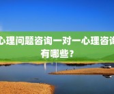 心理问题咨询一对一心理咨询有哪些？