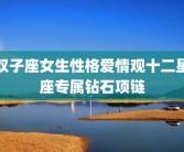 双子座女生性格爱情观十二星座专属钻石项链