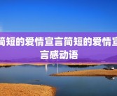 简短的爱情宣言简短的爱情宣言感动语
