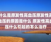 什么是原发性高血压原发性高血压的原因是什么 原发性高血压什么引起的怎么治疗