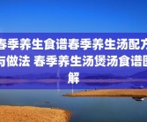 春季养生食谱春季养生汤配方与做法 春季养生汤煲汤食谱图解