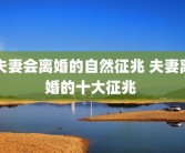 夫妻会离婚的自然征兆 夫妻离婚的十大征兆 