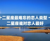 十二星座最难忘的恋人类型 十二星座谁对恋人最好