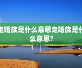 走婚族是什么意思走婚族是什么意思?