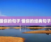 懂你的句子 懂你的经典句子 