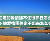 注定的爱情抓不住很抓狂怎么办 被爱情困住走不出来怎么办