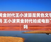 黄金时代王小波算是黄色文学吗 王小波黄金时代拍成电影了吗