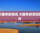大脑年龄测试 大脑年龄测试图片 