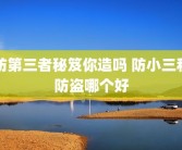 防第三者秘笈你造吗 防小三和防盗哪个好
