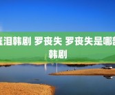 催泪韩剧 罗丧失 罗丧失是哪部韩剧