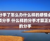 分手了怎么办什么样的感情必须分手 什么样的分手才算正式的分手