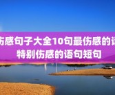 伤感句子大全10句最伤感的话 特别伤感的语句短句