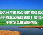 情侣分手前怎么挽回感情情侣分手前怎么挽回感情？情侣分手前怎么挽回感情呢