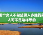 哪个女人不希望男人多赚钱男人可不是这样想的