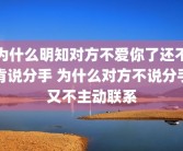 为什么明知对方不爱你了还不肯说分手 为什么对方不说分手又不主动联系