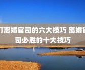打离婚官司的六大技巧 离婚官司必胜的十大技巧