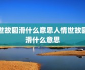 世故圆滑什么意思人情世故圆滑什么意思