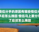 情侣分手的原因有哪些情侣分手后怎么挽回 情侣马上要分手了应该怎么挽回
