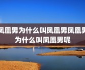 凤凰男为什么叫凤凰男凤凰男为什么叫凤凰男呢