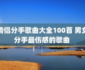 情侣分手歌曲大全100首 男女分手最伤感的歌曲 
