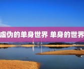 虚伪的单身世界 单身的世界