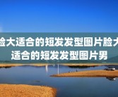 脸大适合的短发发型图片脸大适合的短发发型图片男