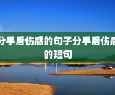 分手后伤感的句子分手后伤感的短句