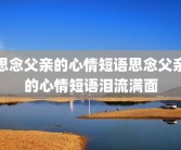 思念父亲的心情短语思念父亲的心情短语泪流满面