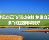 梦见自己飞可以控制 梦见自己会飞还控制得很好 