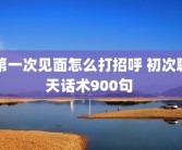 第一次见面怎么打招呼 初次聊天话术900句 