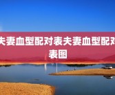 夫妻血型配对表夫妻血型配对表图