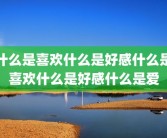 什么是喜欢什么是好感什么是喜欢什么是好感什么是爱