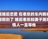 离婚后恋爱 在老总的车内我被潜规则了 婚后老总和妻子离婚情人一直等他