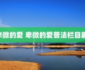 卑微的爱 卑微的爱普法栏目剧 