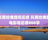 风雨哈佛路观后感 风雨哈佛路电影观后感800字