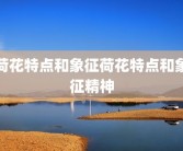 荷花特点和象征荷花特点和象征精神