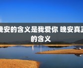 晚安的含义是我爱你 晚安真正的含义 