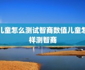 儿童怎么测试智商数值儿童怎样测智商