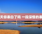 今天你表白了吗 一段深情的表白