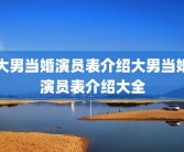 大男当婚演员表介绍大男当婚演员表介绍大全